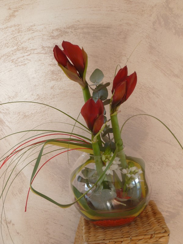Les pots d'Anne