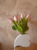 Les pots d'Anne