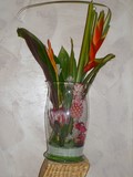Les pots d'Anne