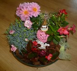 Les pots d'Anne